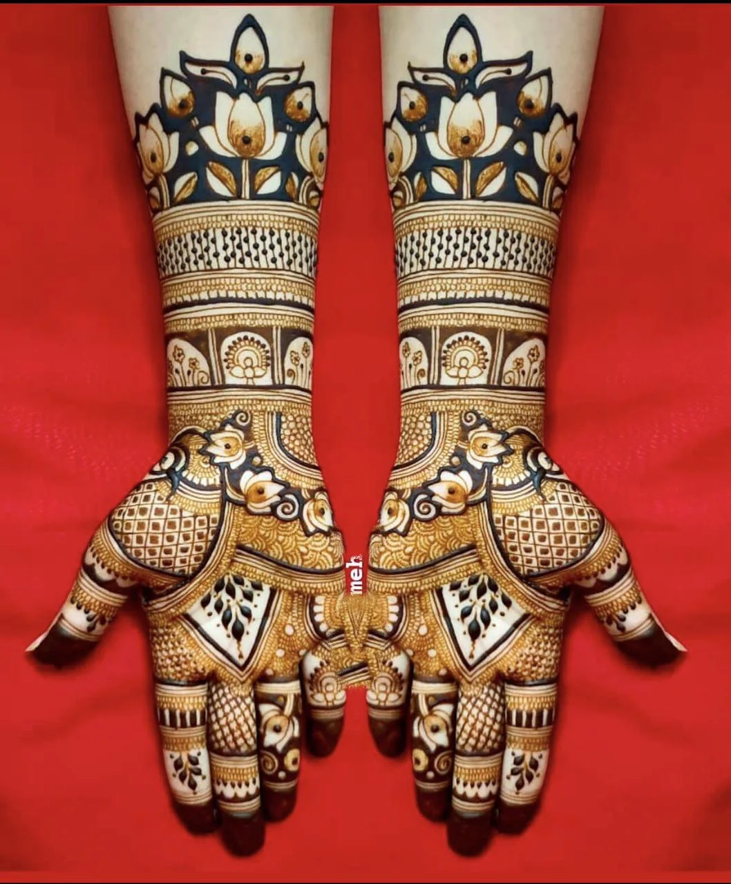 Bridal-Mehandi Design